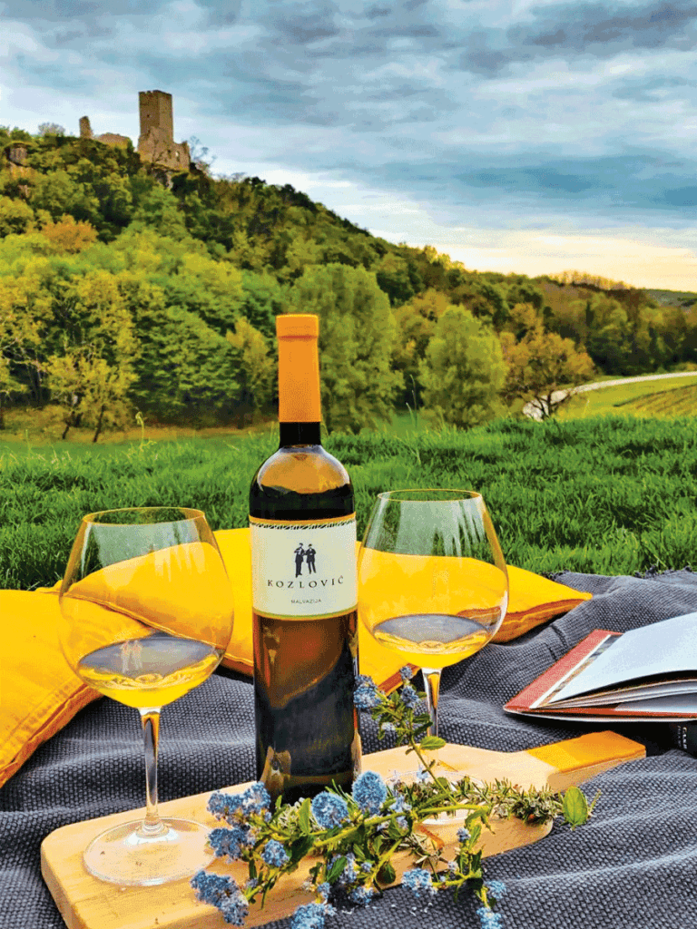 WINE BAR - Online vinoteka Beograd | Wine Shop Online