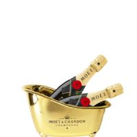 Mini-moet-gift